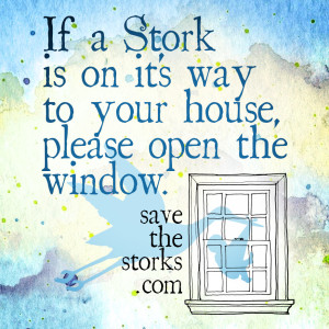 window