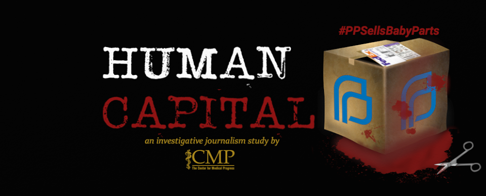 investigative journalism