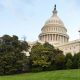 aborted, infanticide, Congress letter, born alive, Mexico City