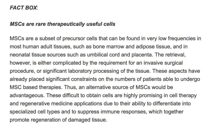 fact box fetal tissue stem cells