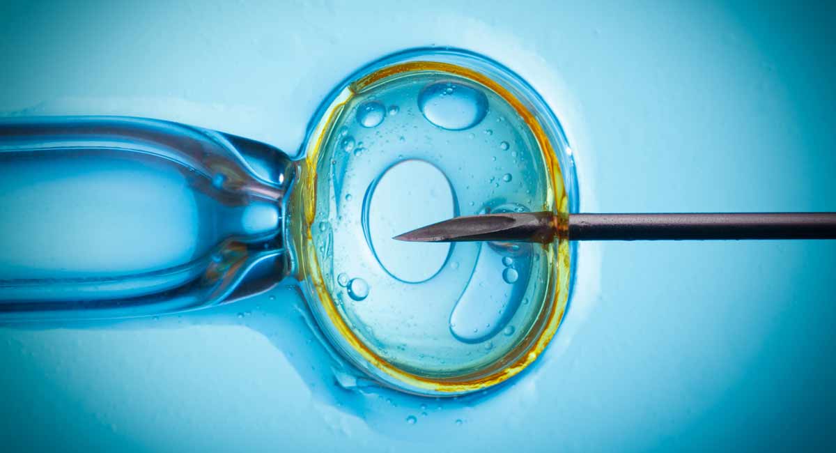 chimeras, abortion, IVF