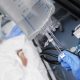 Italy, assisted suicide, euthanasia, organ harvesting