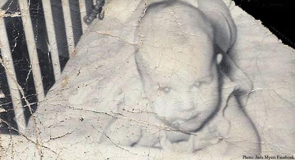 conceived in rape