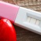 heartbeat, fertility
