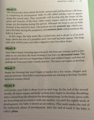 Image: Pregnancy Month to Month Weeks 5 to 8 (Your Pregnancy and Childbirth: ACOG) 