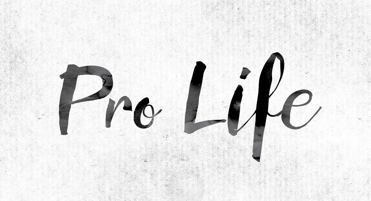 pro-life guide