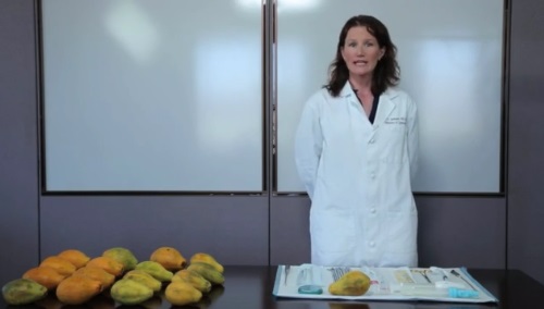 Image: UCSF's Jody Steinauer Papaya Workshop