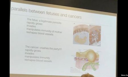 fetus, preborn, parasite