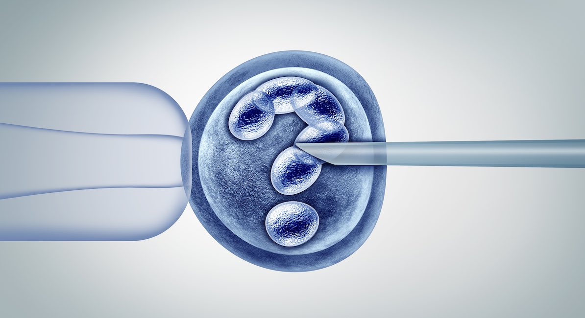 IVF, human-animal hybrid, pioneer, surrogacy, egg donation, Down syndrome
