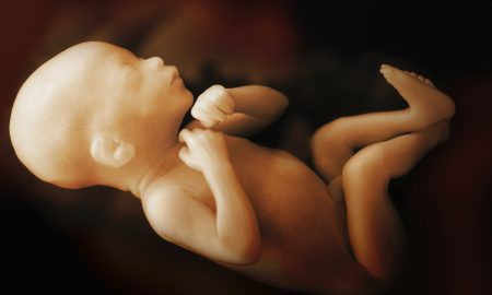 fetal pain, tiktok, pro-life, preborn children, Roe, Wyoming, Biden, amendment