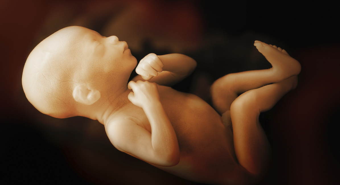 fetal pain, tiktok, pro-life, preborn children, Roe, Wyoming, Biden, amendment