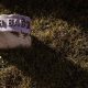 miscarried, aborted, Florida