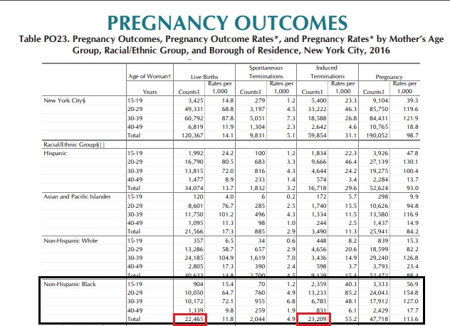 Image: New York City abortion v live births, 2016 (Graph: NYC Vital Statistics)