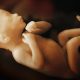 fetal, 7 month fetus, late abortion, 28 weeks, heart