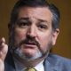 abortion pill, Ted Cruz