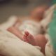 preemie, premature, newborn, abortion, abortion survivors, Minnesota, trisomy 18, premature