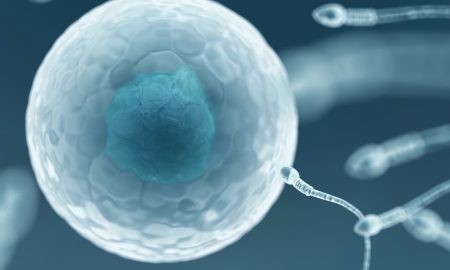 fertilization, sperm bank, sperm donors, sperm donations, sperm