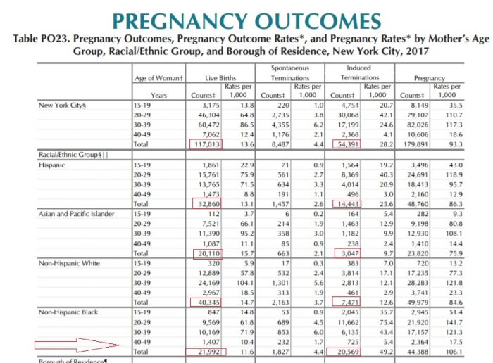 Image: Live births v Abortions reported for New York City in 2017 ( Graph: NYC DOH)