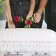 burial, miscarriage, euthanasia, Canada, assisted suicide