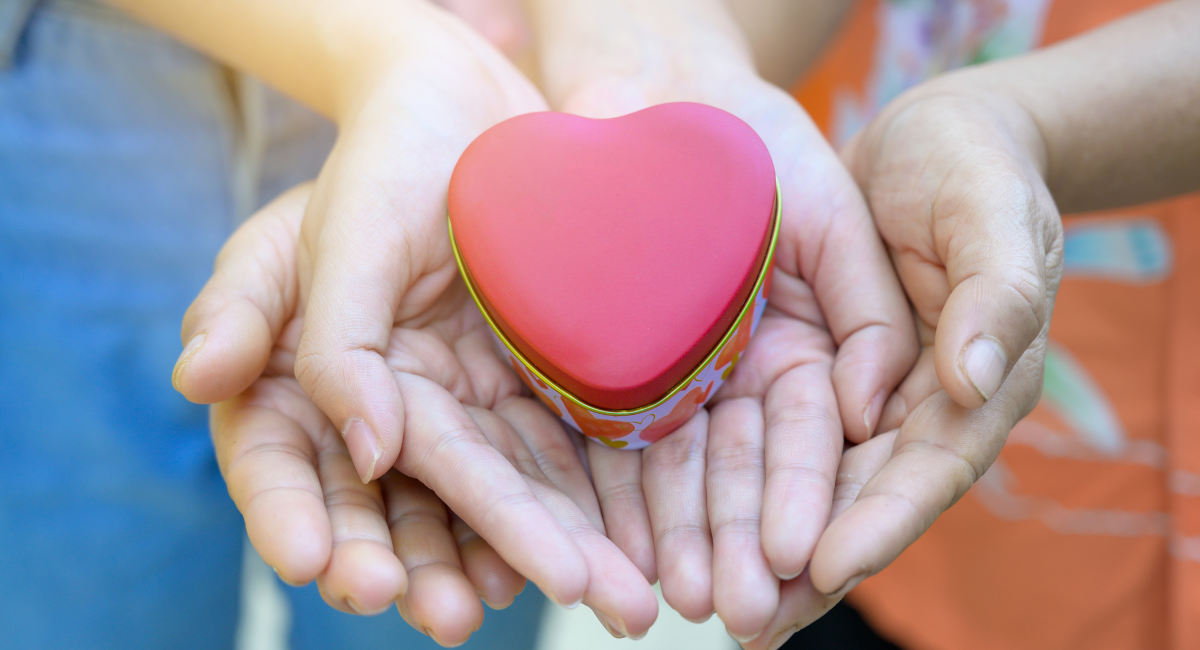 adoption, rape, biological, foster, pregnancy, life, adoptions