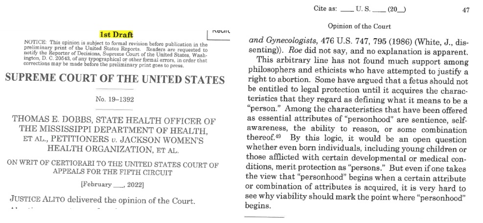 Image: Supreme Court draft opinion in Dobbs on personhood