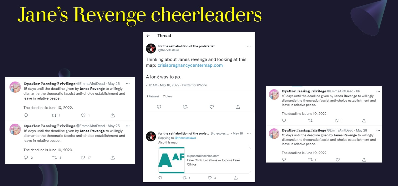 Image: Janes Revenge cheerleaders