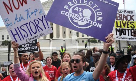 pro-life, abortion rate