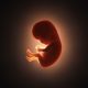 IVF
