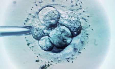IVF, embryo, embryos