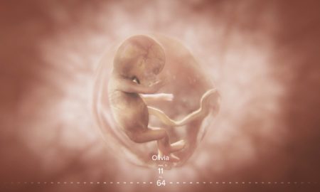 Iowa, Baby Olivia, prenatal development