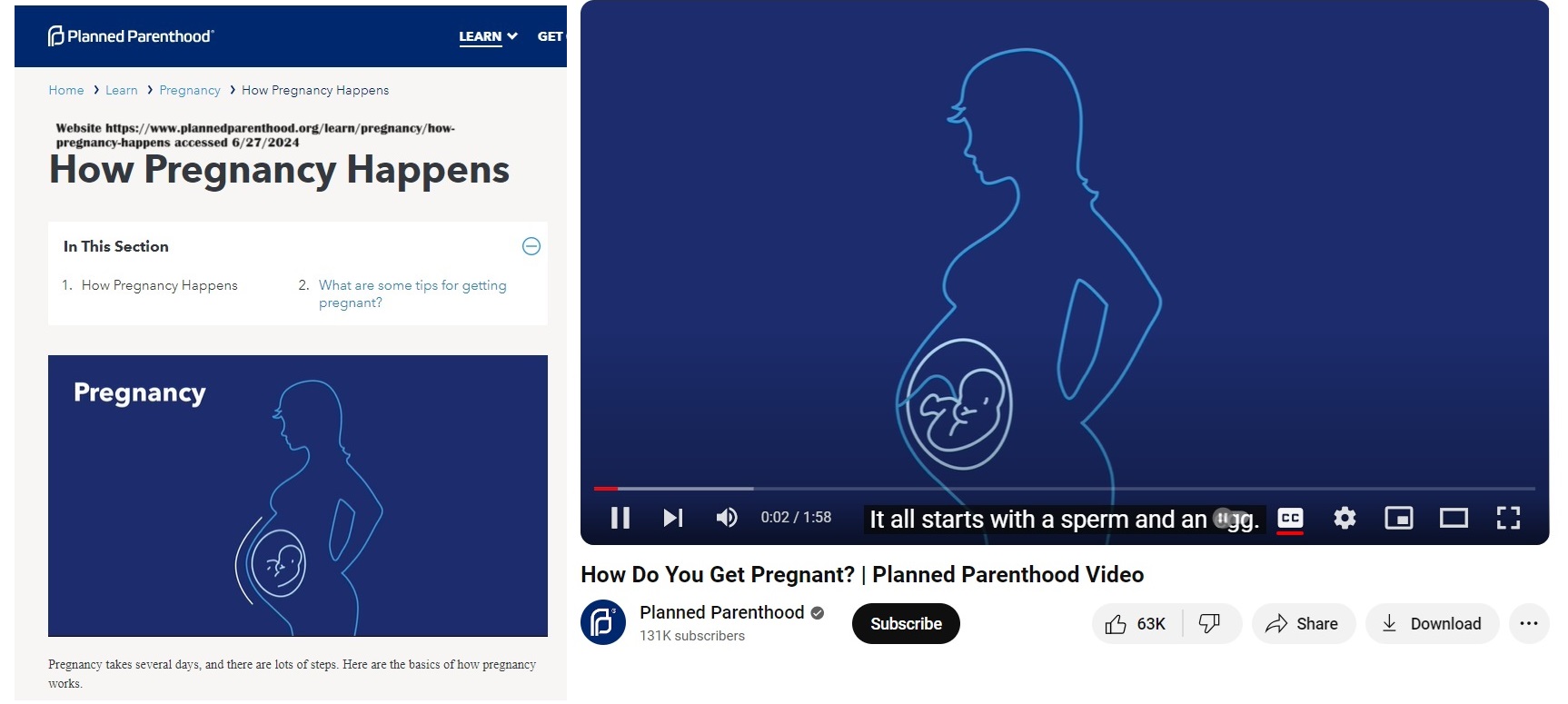 Planned Parenthood pregnancy video shows the embryo 3
