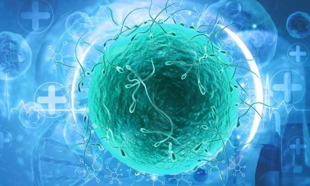 sperm donor