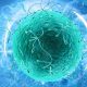 sperm donor