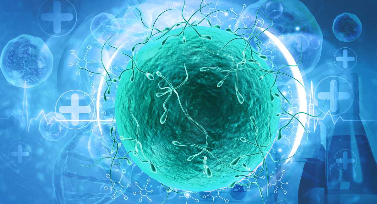 sperm donor